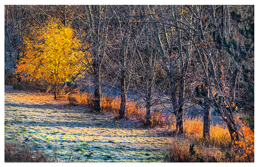 James Wilson - 'Van Goghesque Landscape'