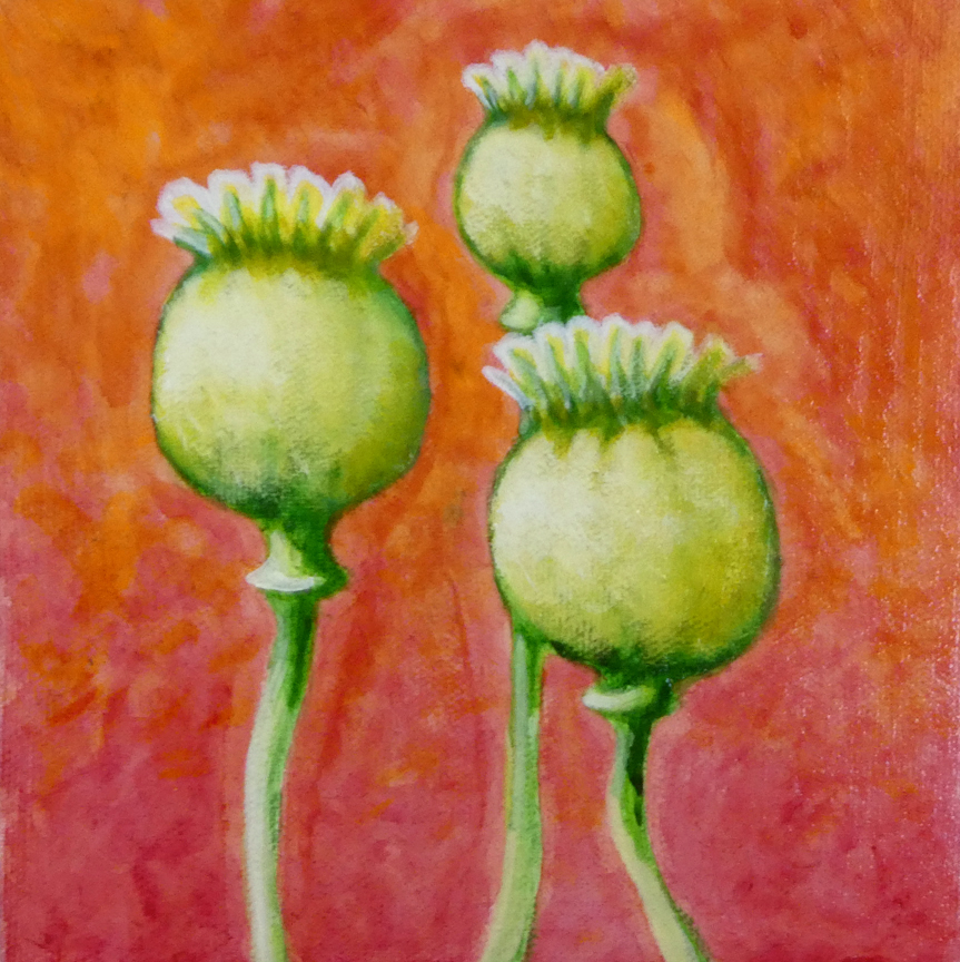 Sheryl Crowley - 'Poppy Seed Pods'